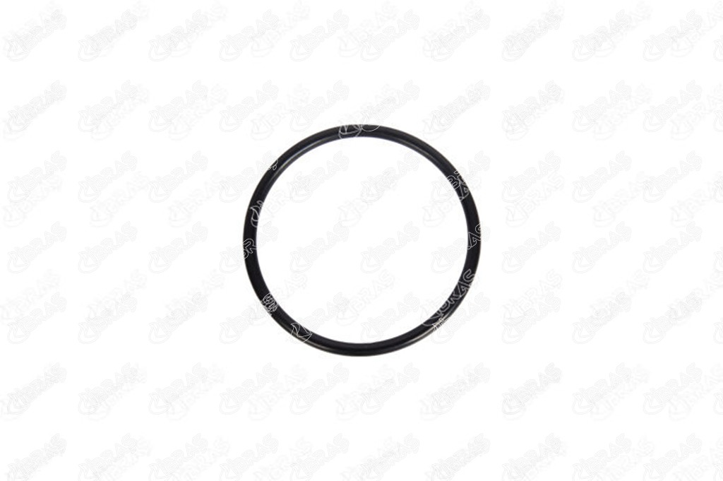 GAZ KELEBEĞİ CONTASI