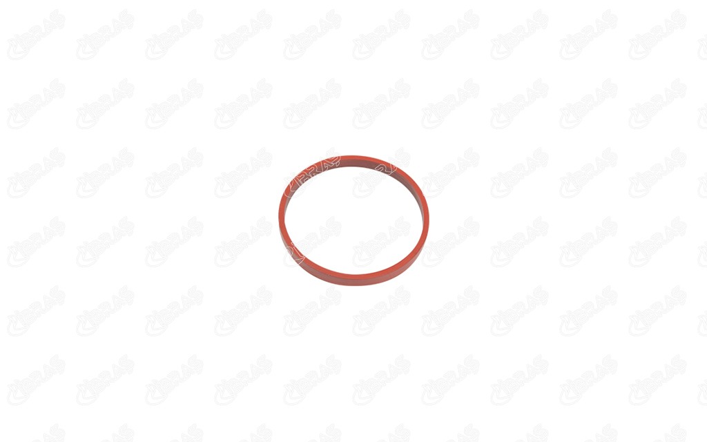  Emme Manifold Contası 