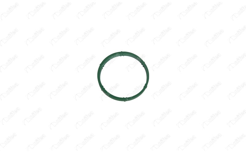 EMME MANİFOLD CONTASI