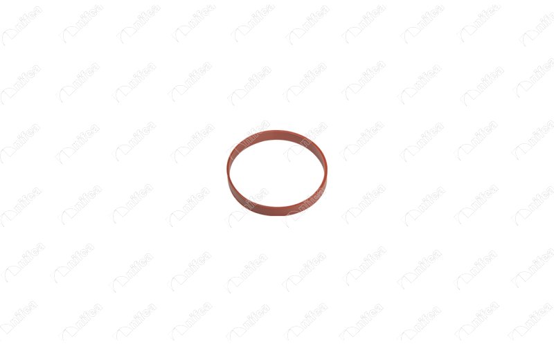 EMME MANİFOLD CONTASI