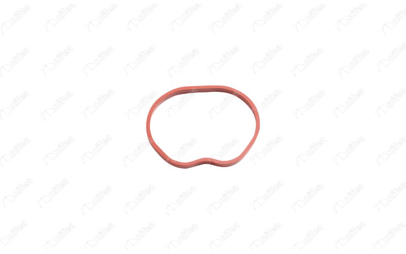 EMME MANİFOLD CONTASI