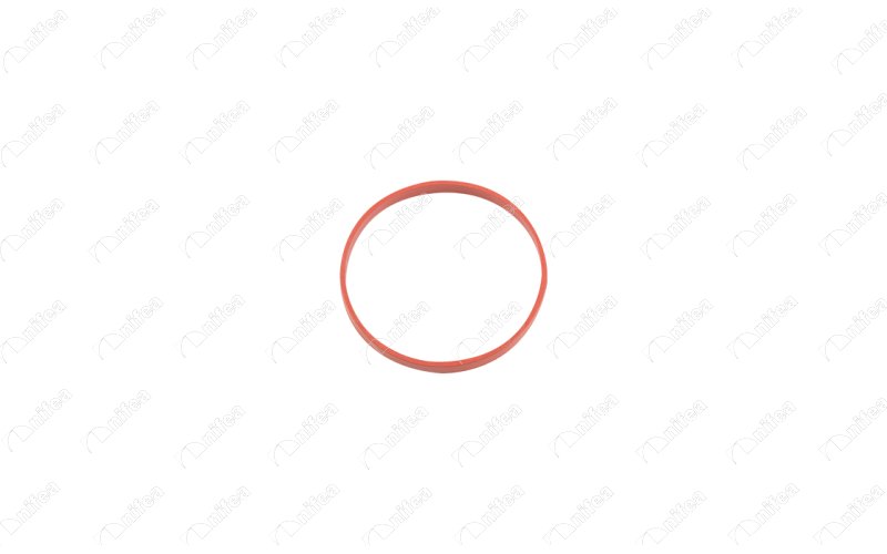 GAZ KELEBEĞİ CONTASI