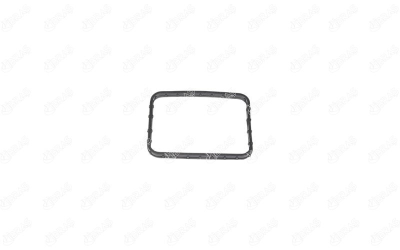 TERMOSTAT GÖVDE CONTASI