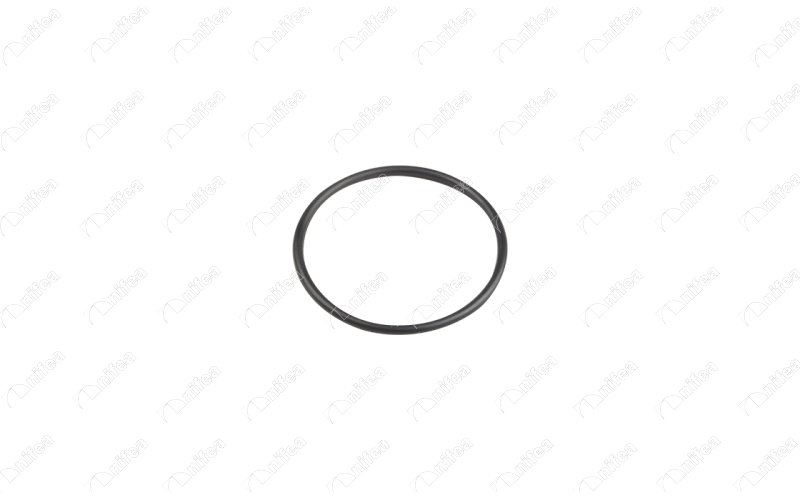 TURBO BORUSU CONTASI