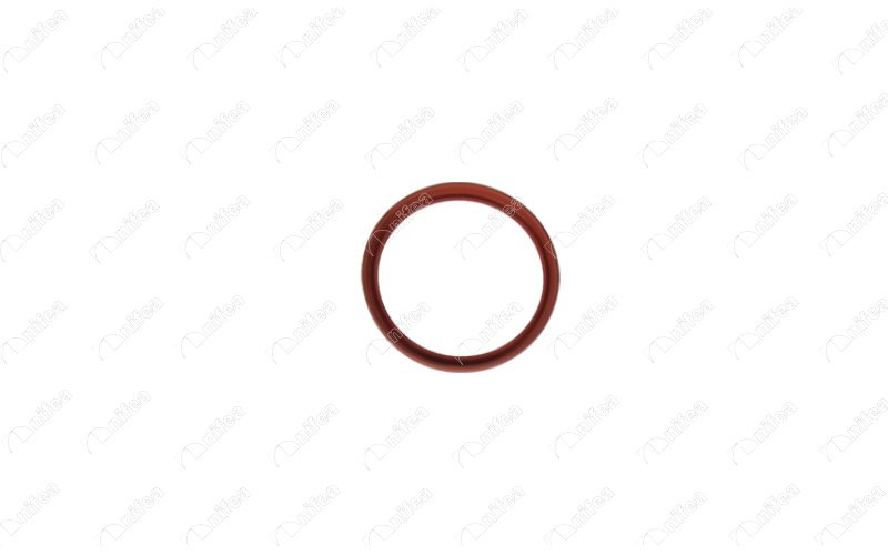 TURBO BORUSU CONTASI