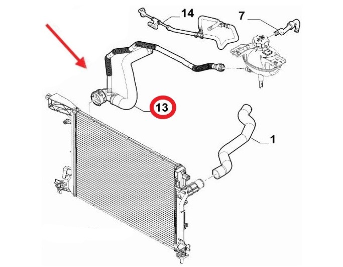 FIAT EGEA RADYATÖR ÇIKIŞ HORTUMU