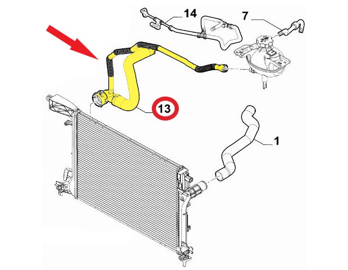 RADYATÖR ÇIKIŞ HORTUMU Montaj Yeri : Radyatör Sağ Alt FIAT EGEA 