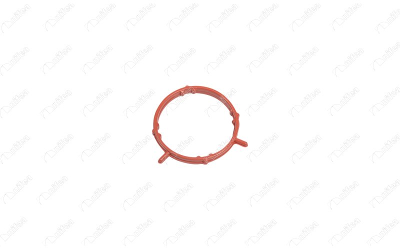  Turbo Borusu Contası 